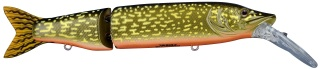 0001_Spro_Kaminari_Pike_Short_Lip_145_[Orange_Belly_Pike].jpg